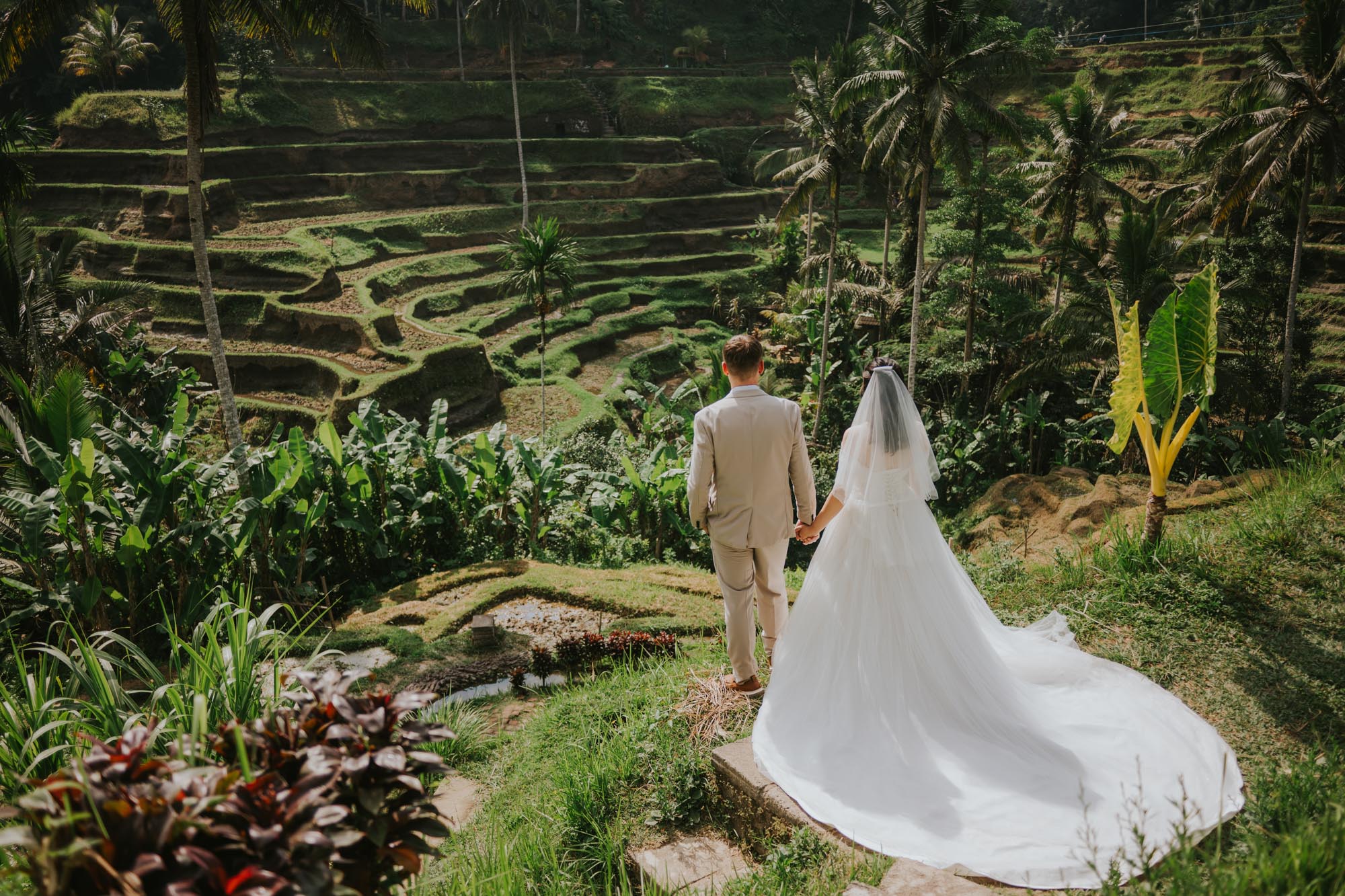 Rice terrace pre-wedding photography